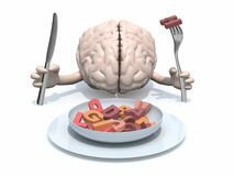 Dieta-mózg